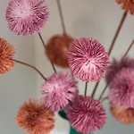 Ester's Szentbekkalla